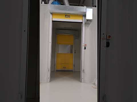 YouTube Video 5